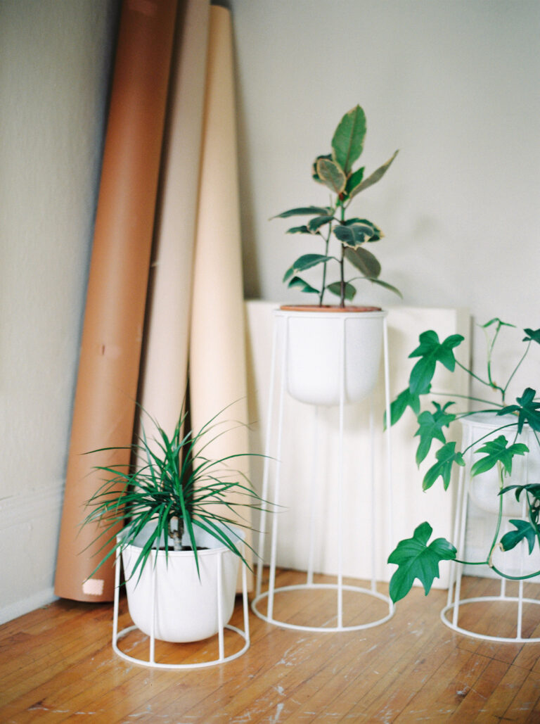 5 Things You Need to Remember When You Move House