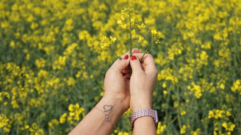 5 Ways to Make Your Brand More Environmentally Friendly